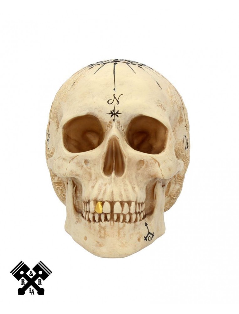 Dead Man's Map Decorative Skull, front