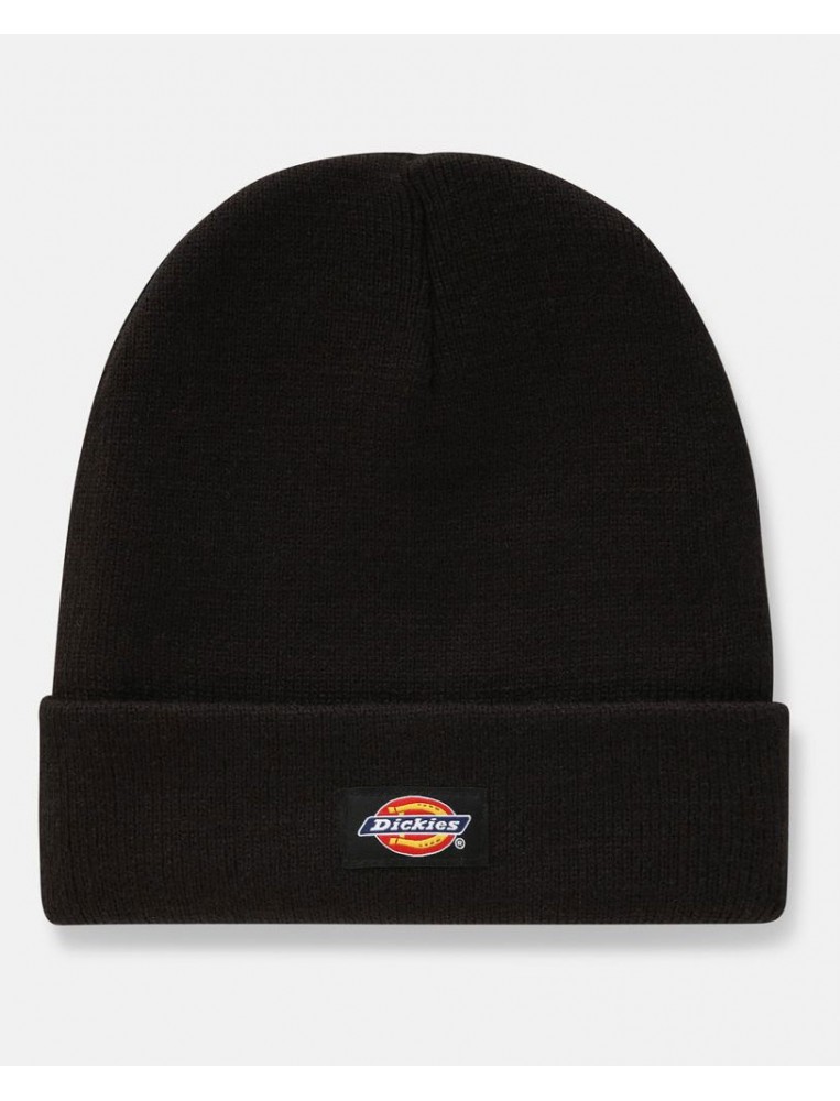 Dickies Gorro Gibsland Principal